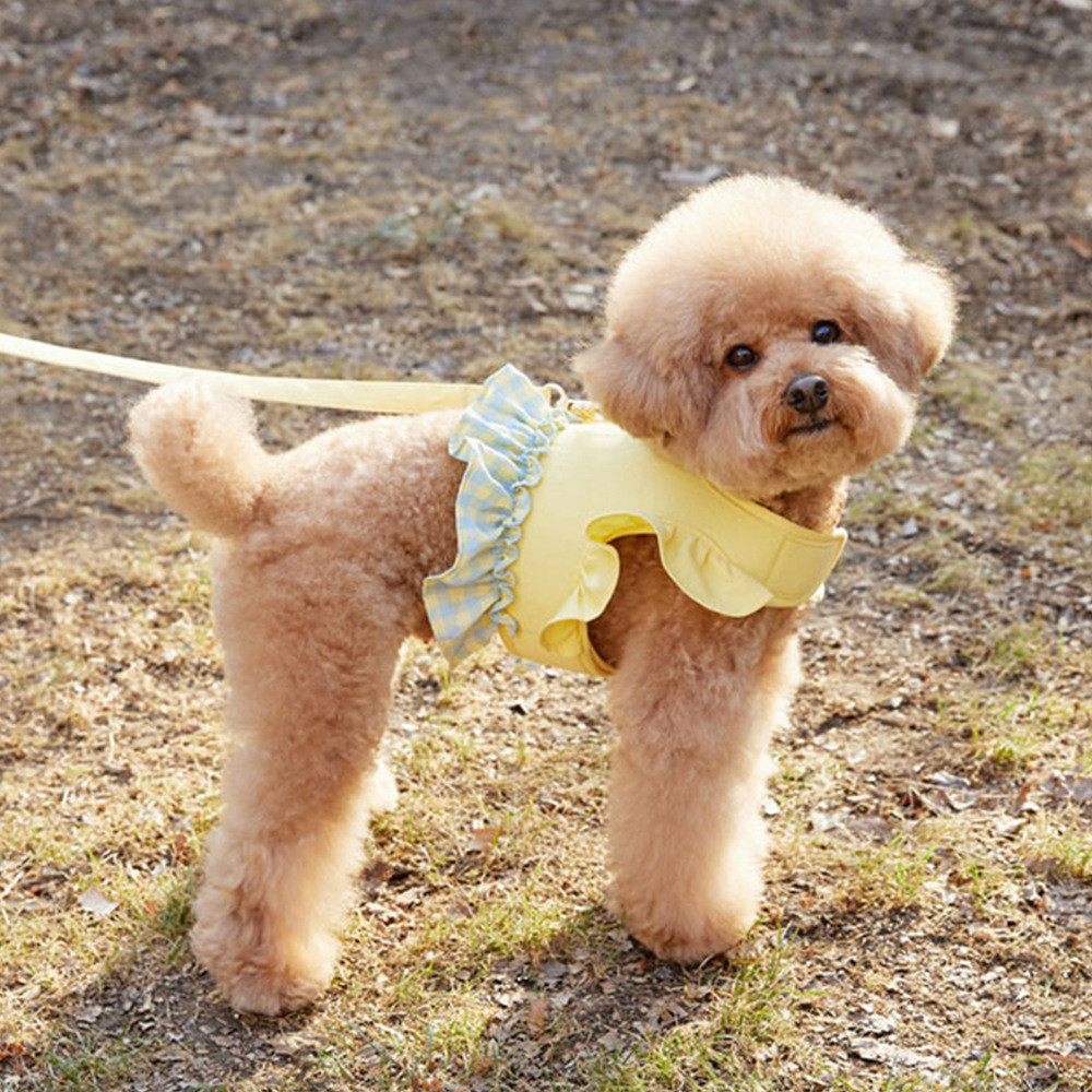 Dog Color Contrast Traction Ro - Lace Teddy Lingerie incelemesi ve fiyatı